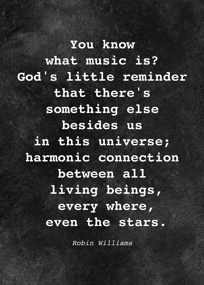 Robin Williams Quote D019