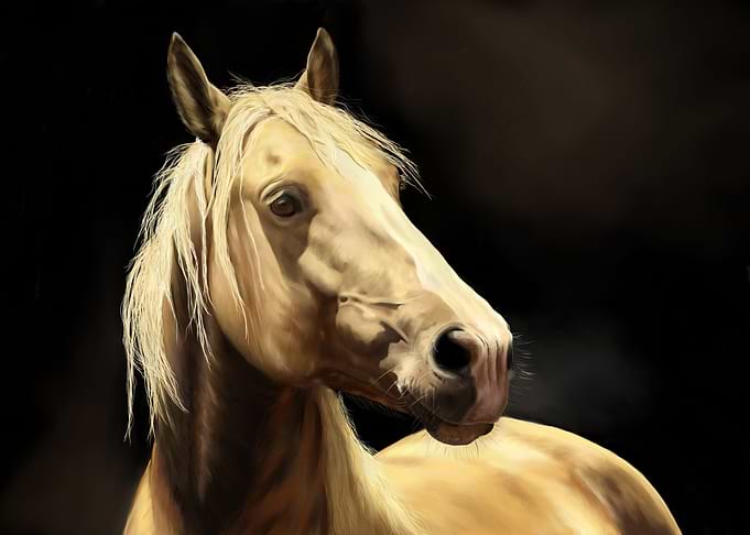 Portrait Of A Horse