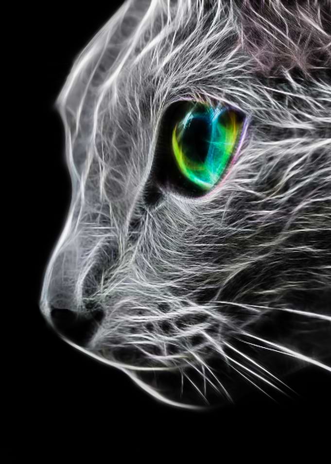 Cat Fractal Eye