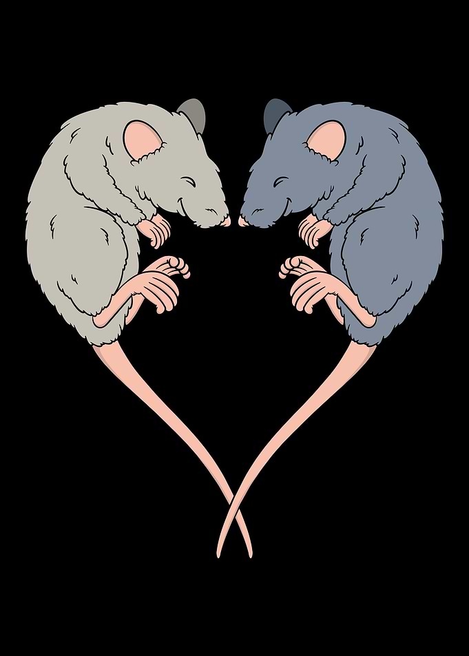 Cute rat heart shape pet