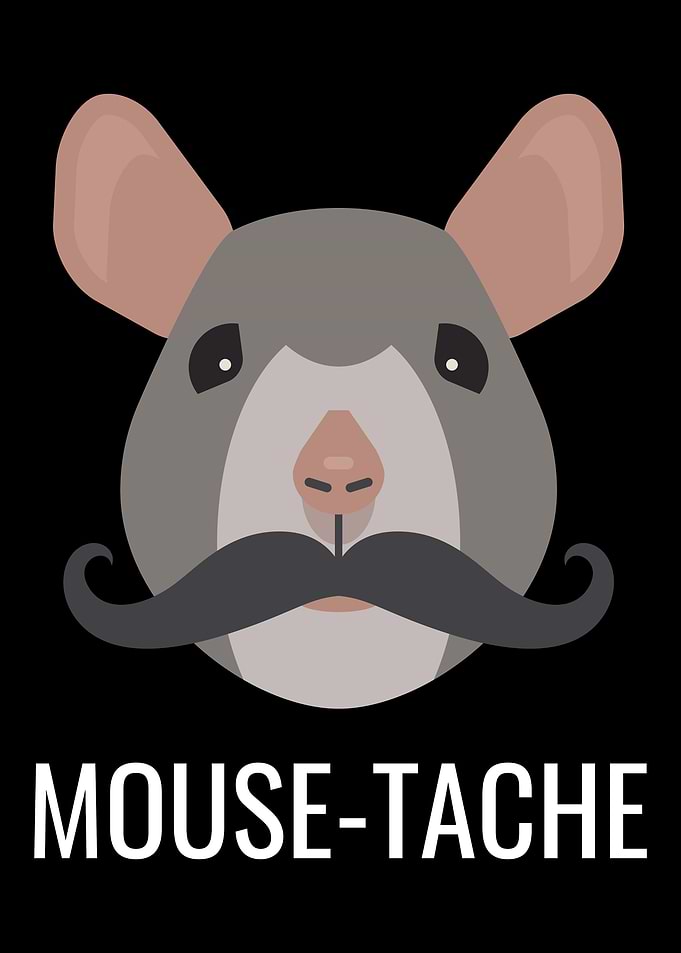 Mouse mustache Mousetache