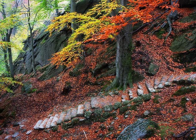 Autumn Mountain Stairs