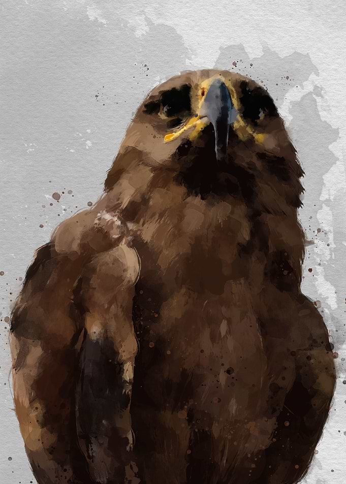 Imperial eagle