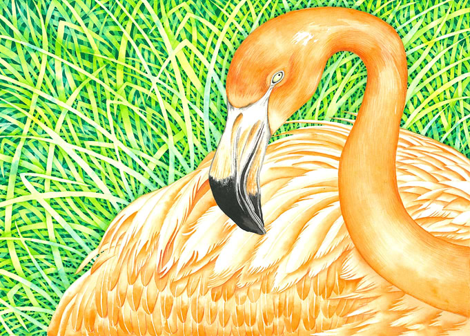 Orange