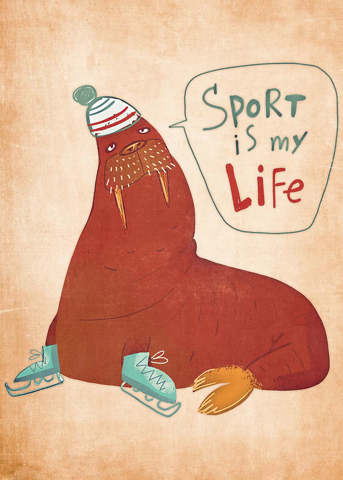 seal sport