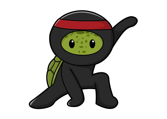 Turtle Headband Ninja