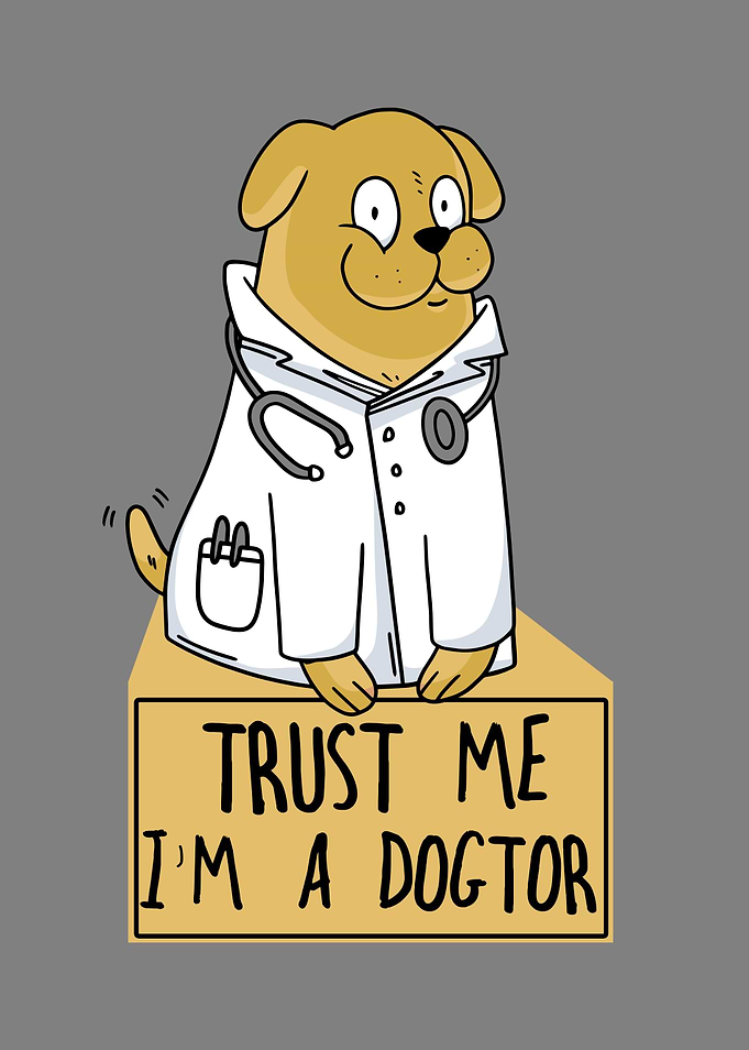 Mans Best Friend