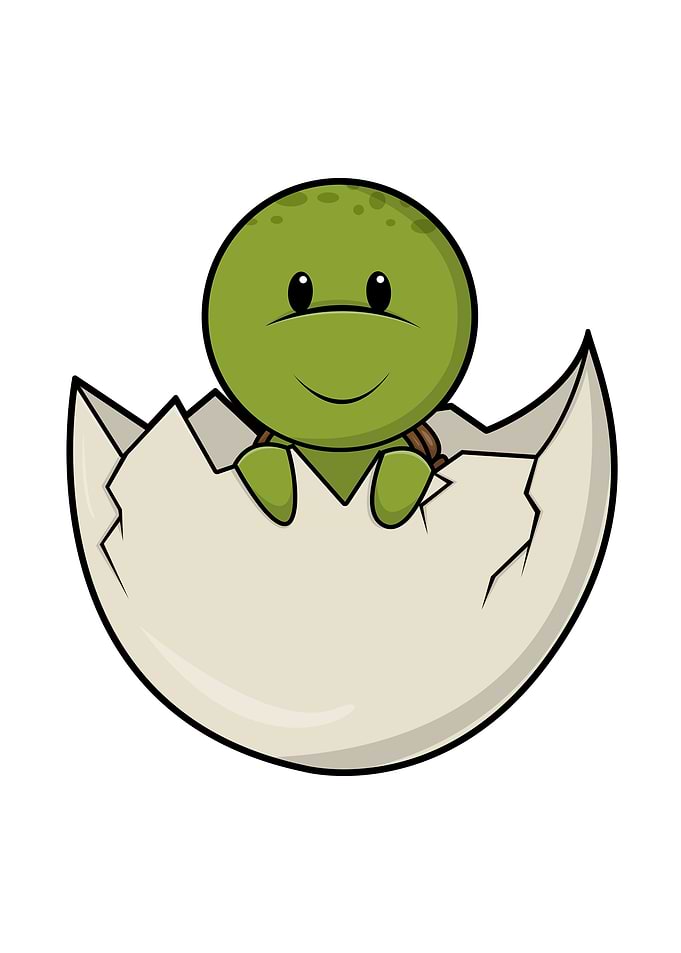 Turtle Baby Eggshell