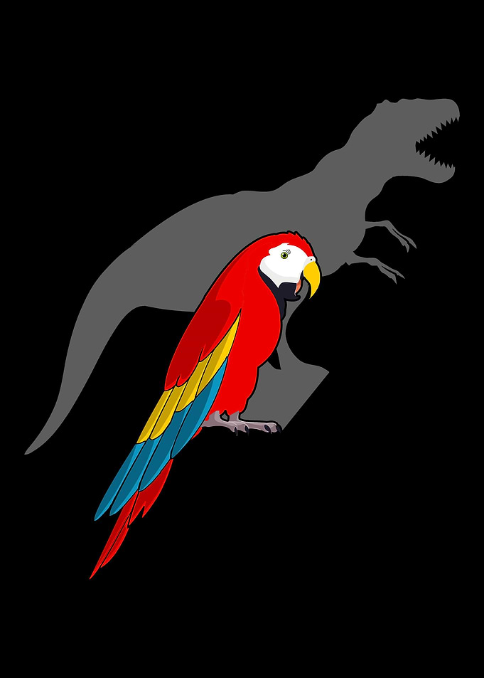 Dinosaur gift