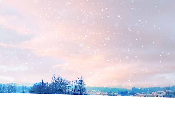 Winter Wanderland