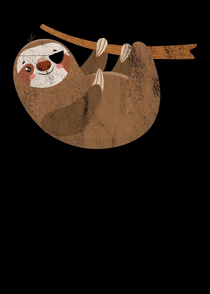 ThreeToed Sloth Eye Patch