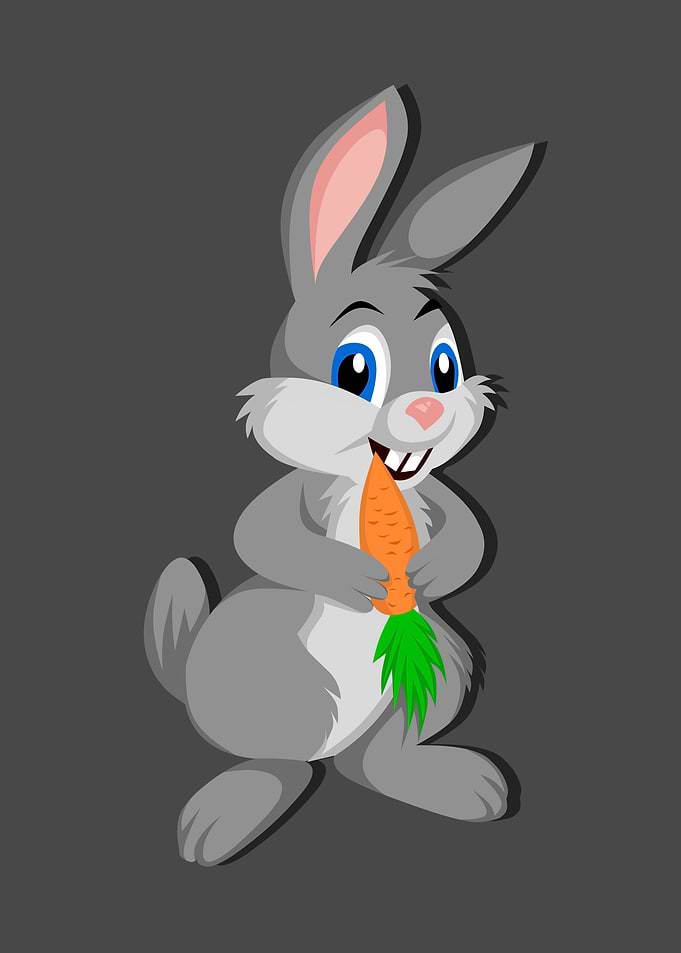 Cute bunny