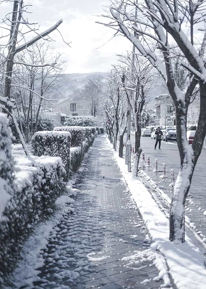 Walkway Snowy