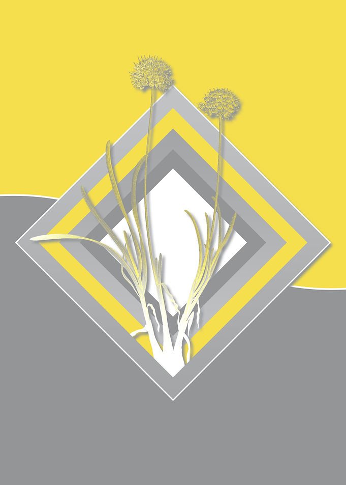 Gray and Yellow Flowers