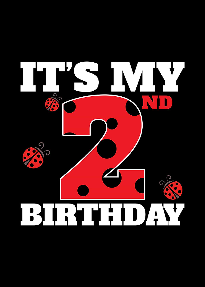 2nd Birthday Ladybug