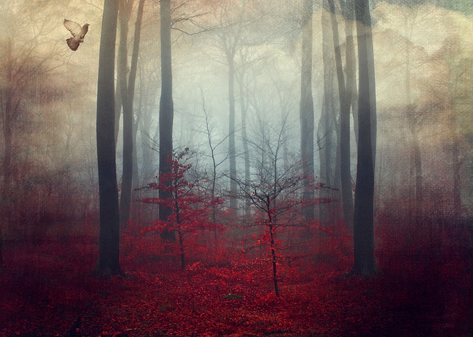 Threshold of a Dream