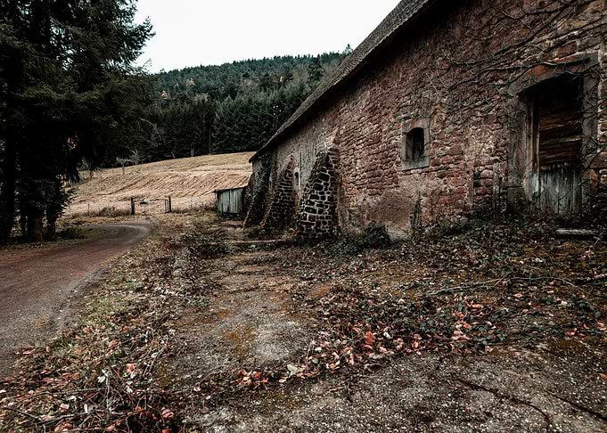 Ruins of Niedermunster
