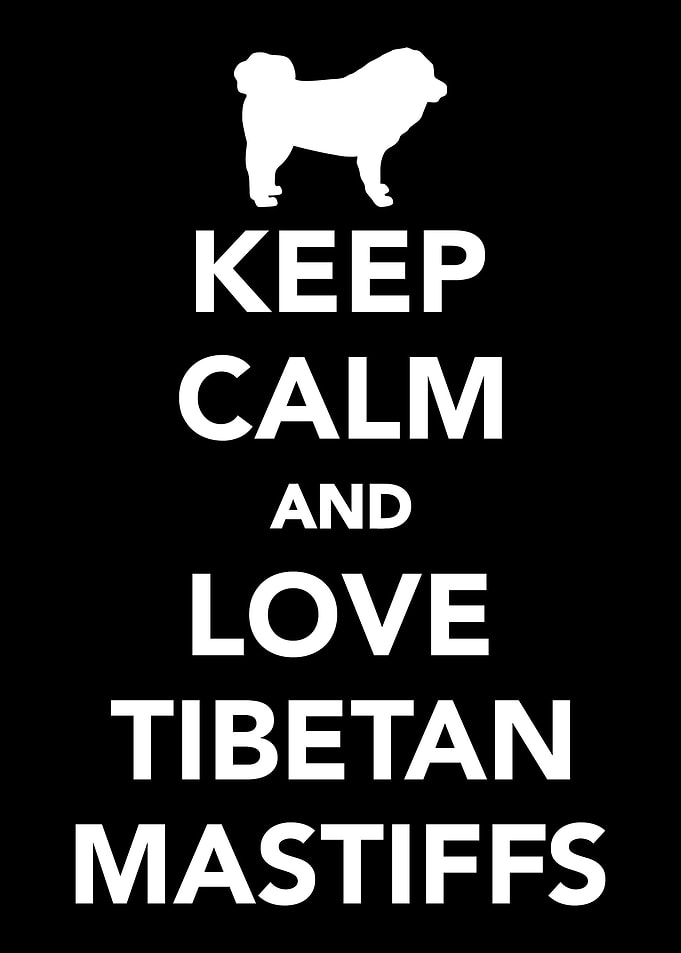 Tibetan Mastiff