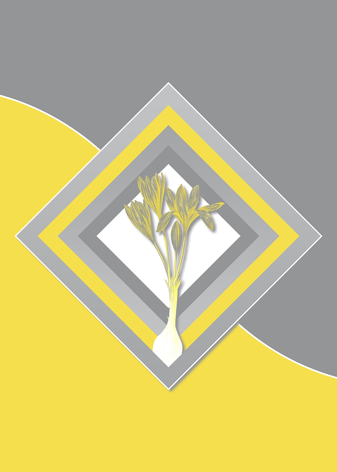 Grey and Yellow Crocus Art