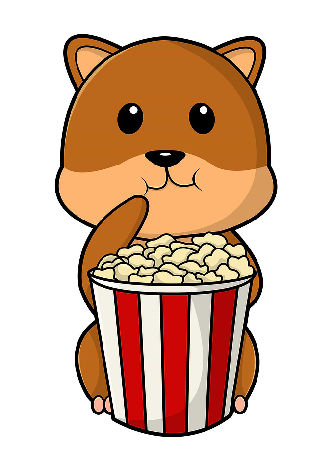 Hamster Cone of Popcorn