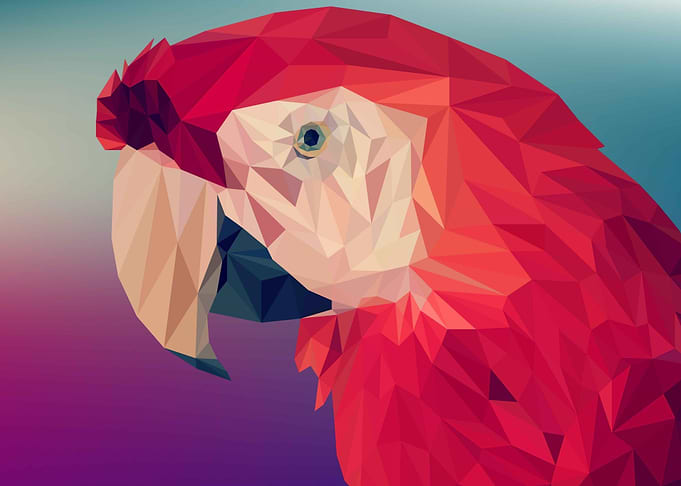 Abstract Red Parrot