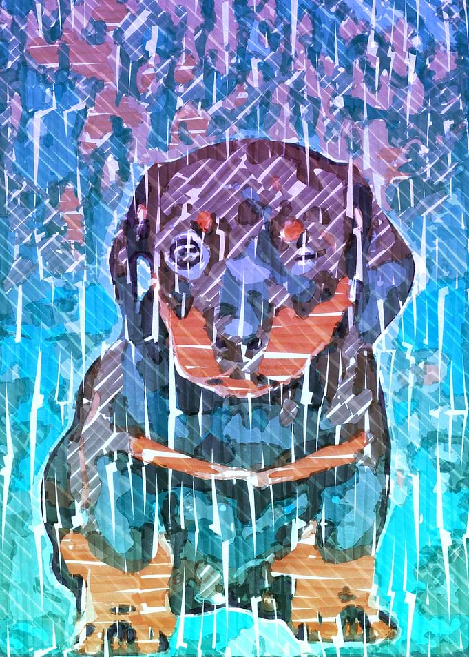 PUPPY SKETCH PORTRAIT