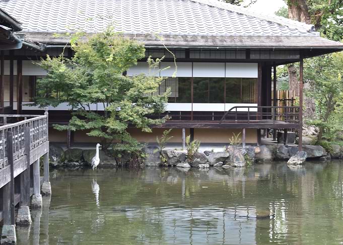 Shosei en garden