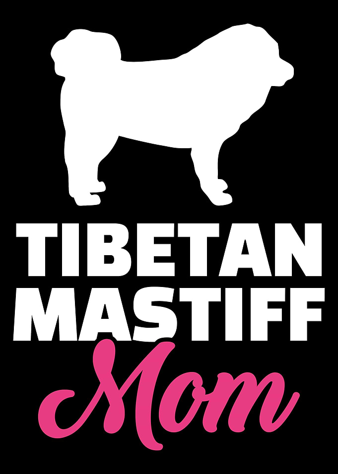 Tibetan Mastiff