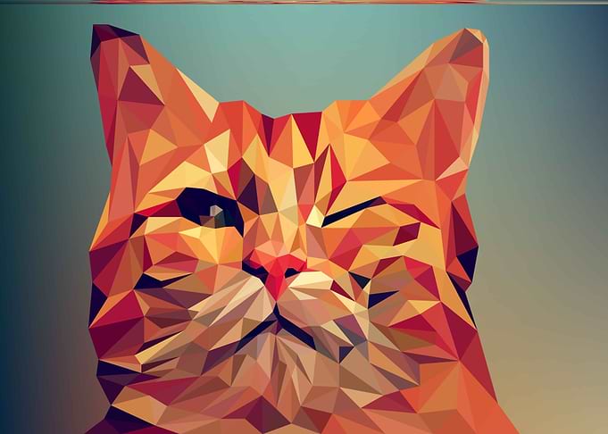 Abstract Cat