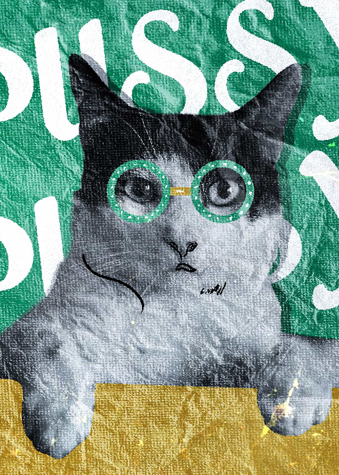 Pussy