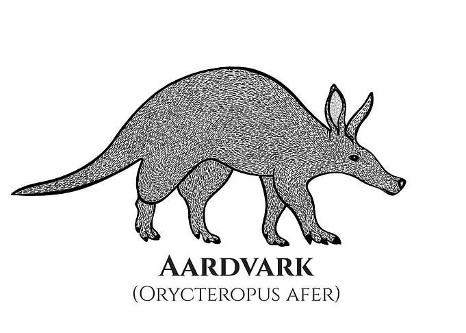 Aardvark with Latin Names