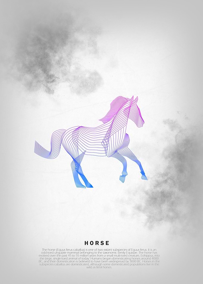 Horse