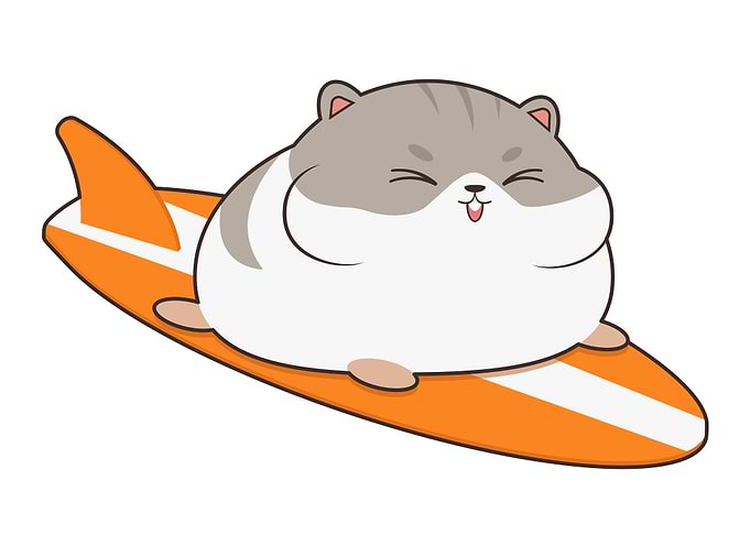 Hamster Surfer Surfboard
