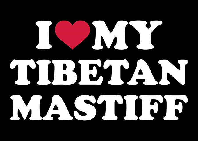 Tibetan Mastiff