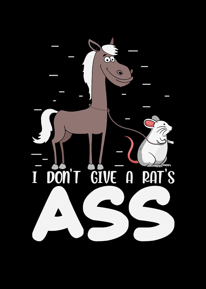 I dont give a rats ass