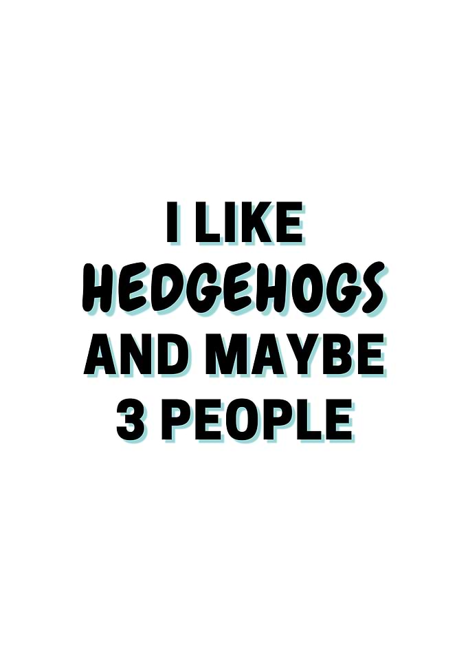 I Like Hedgehogs And Maybe
