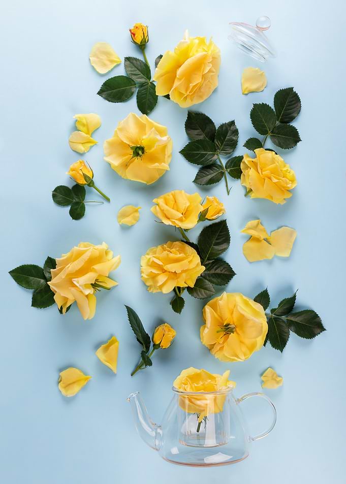yellow roses tea pot