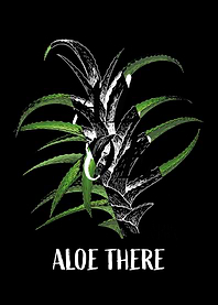 Aloe Vera Garden Plant Flo