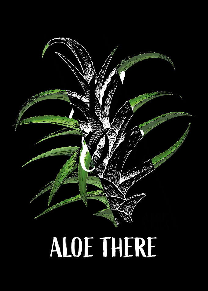 Aloe Vera Garden Plant Flo