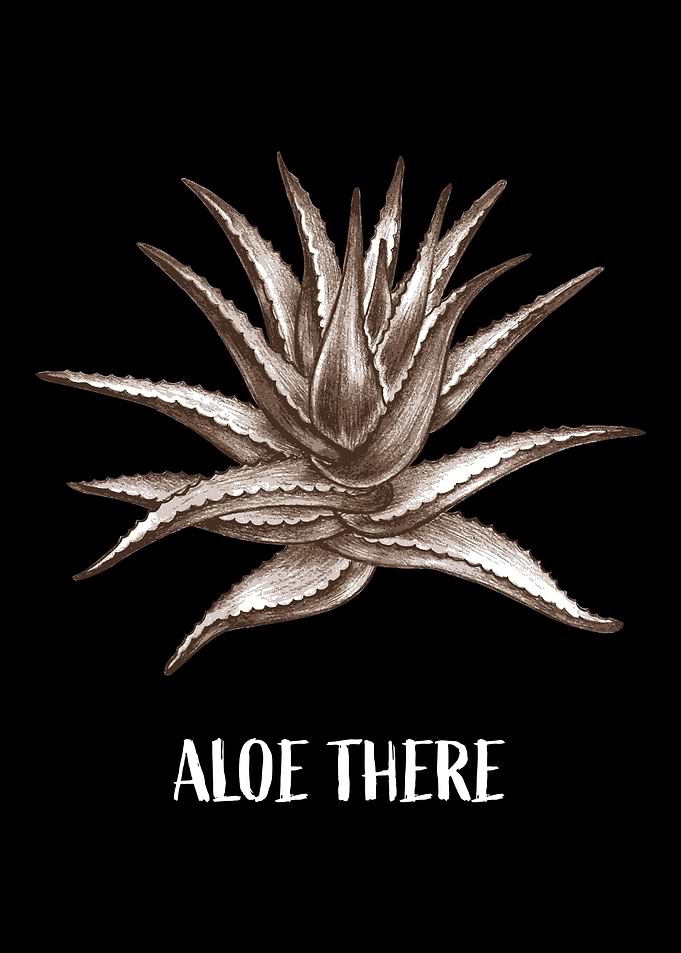 Aloe Vera Garden Plant Flo
