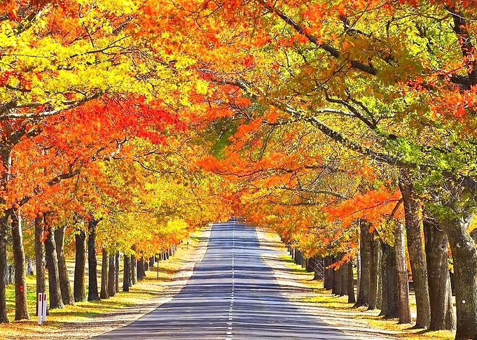 Nature