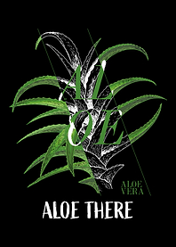 Aloe Vera Garden Plant Flo