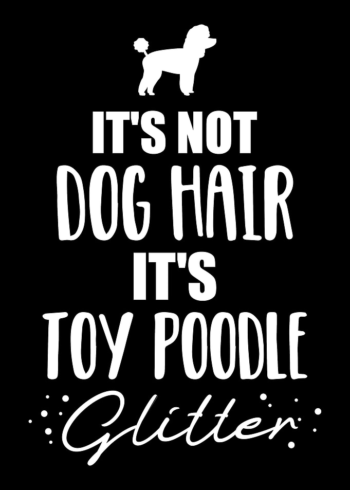 Toy Poodle