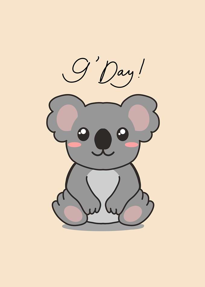 Cute Koala