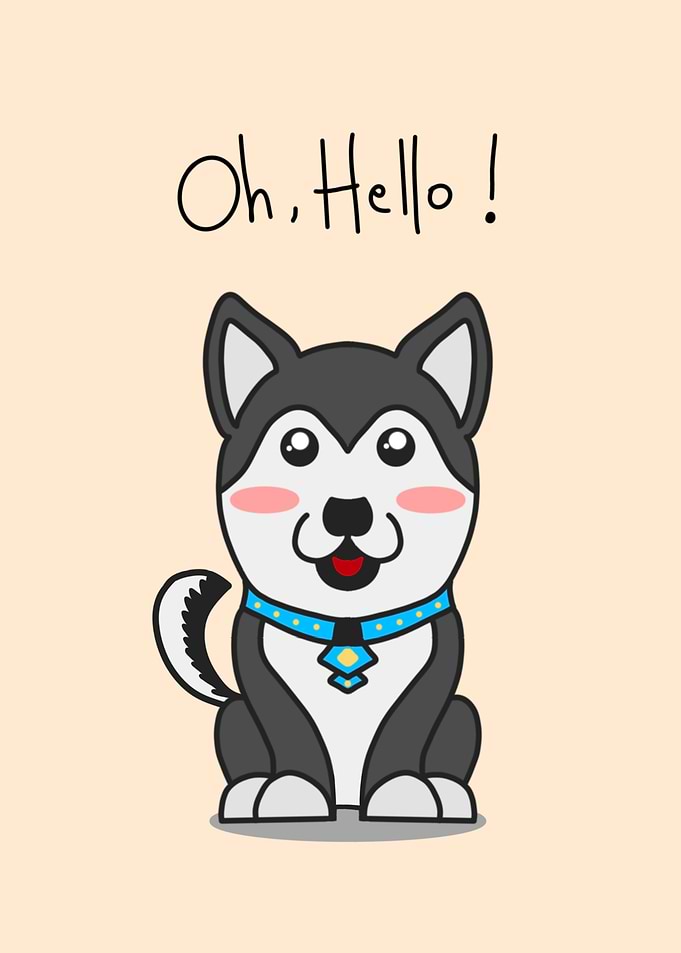 Cute Husky
