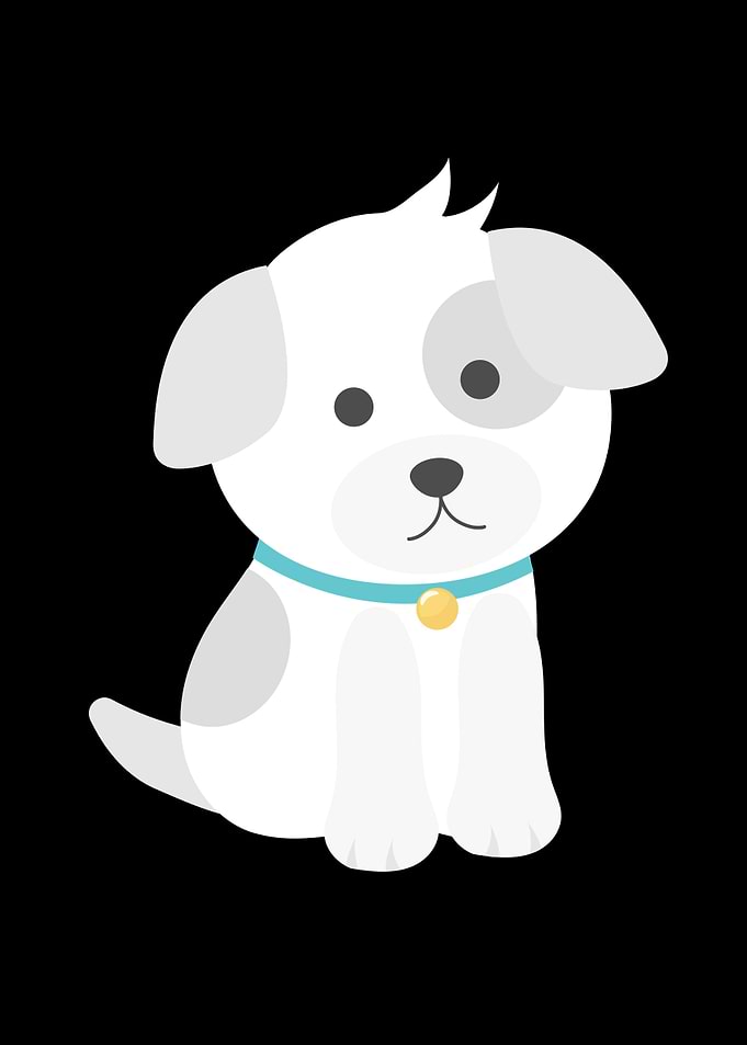 Lovely puppies