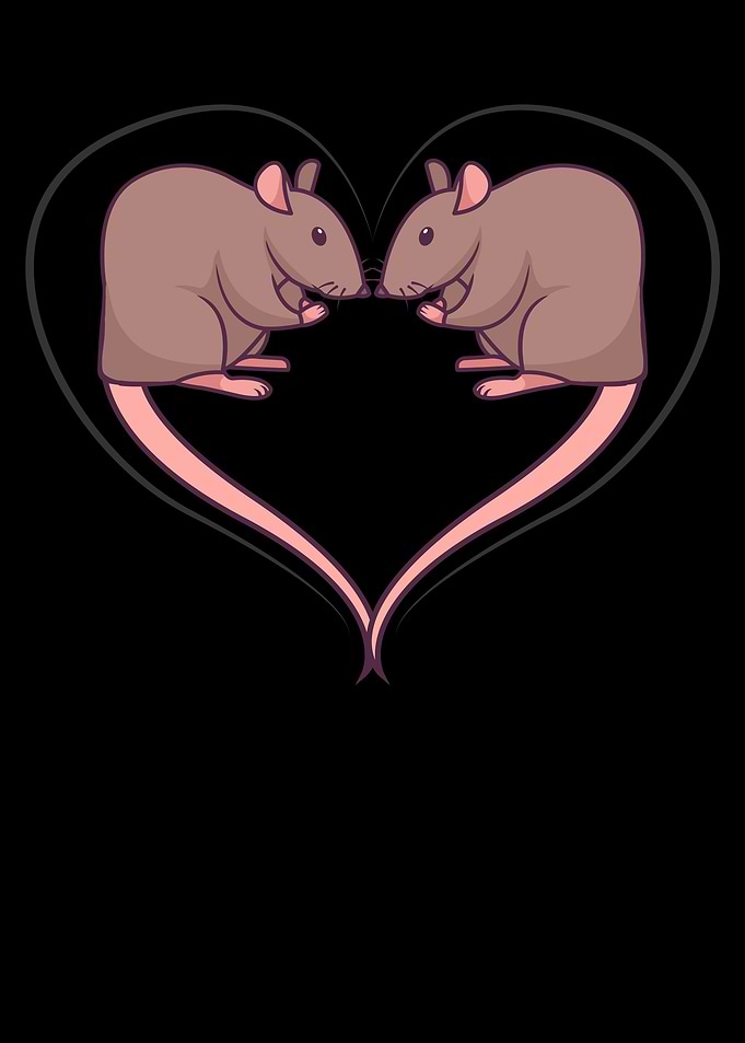 Rat Love