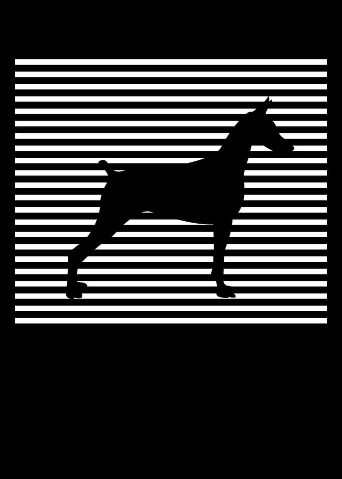 Doberman PinscherI Gift