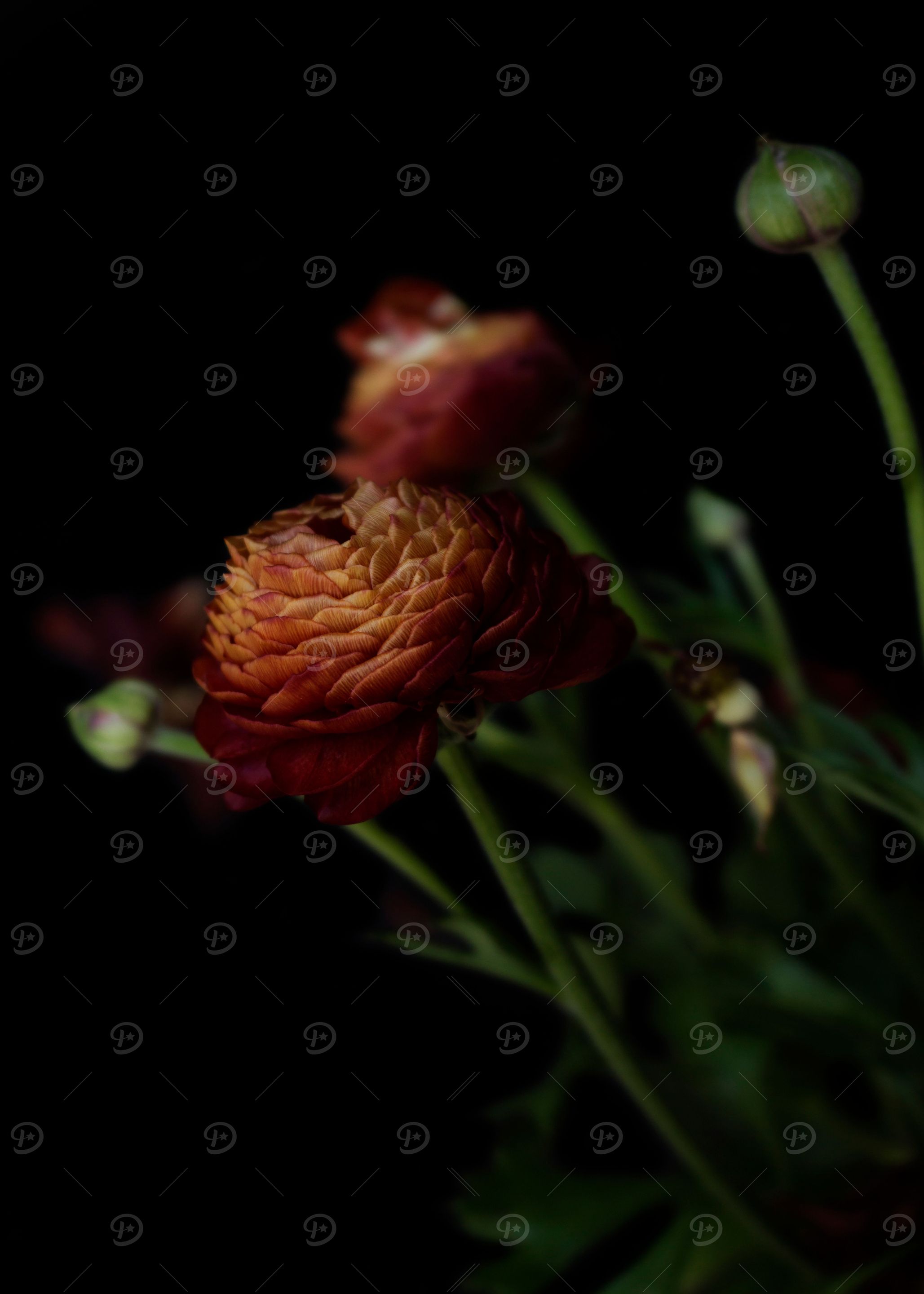 Abstract bouquet