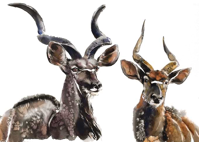 Antelope Charm